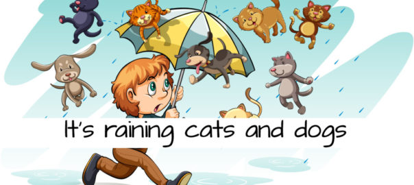 It’s raining cats and dogs origine